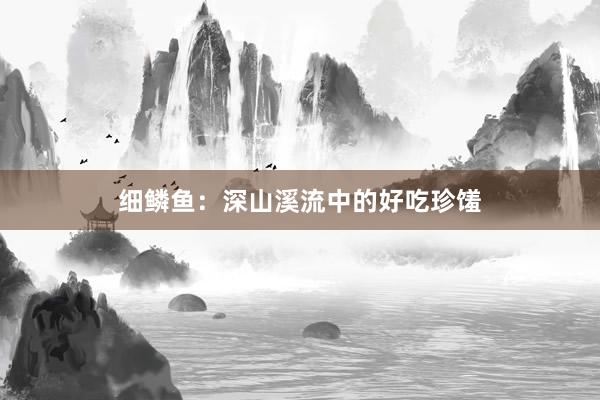 细鳞鱼：深山溪流中的好吃珍馐